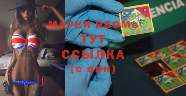 шишки Белоозёрский