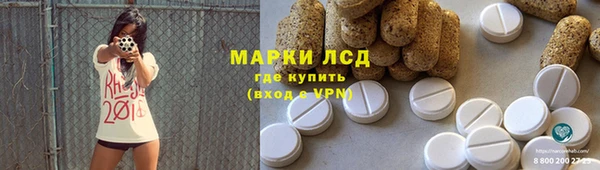 шишки Белоозёрский