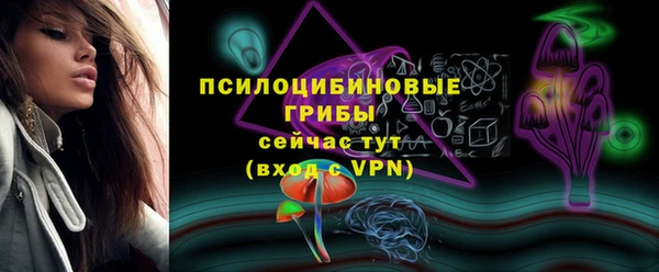 шишки Белоозёрский