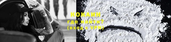 индика Баксан