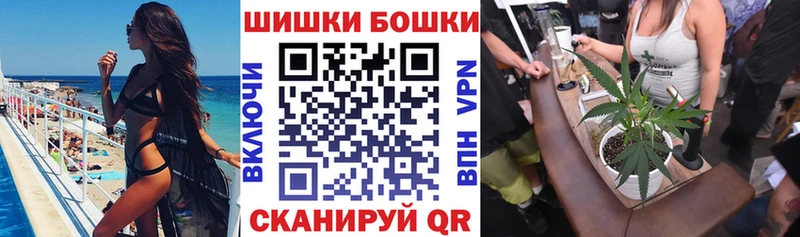 Бошки Шишки ГИДРОПОН  Сокол 